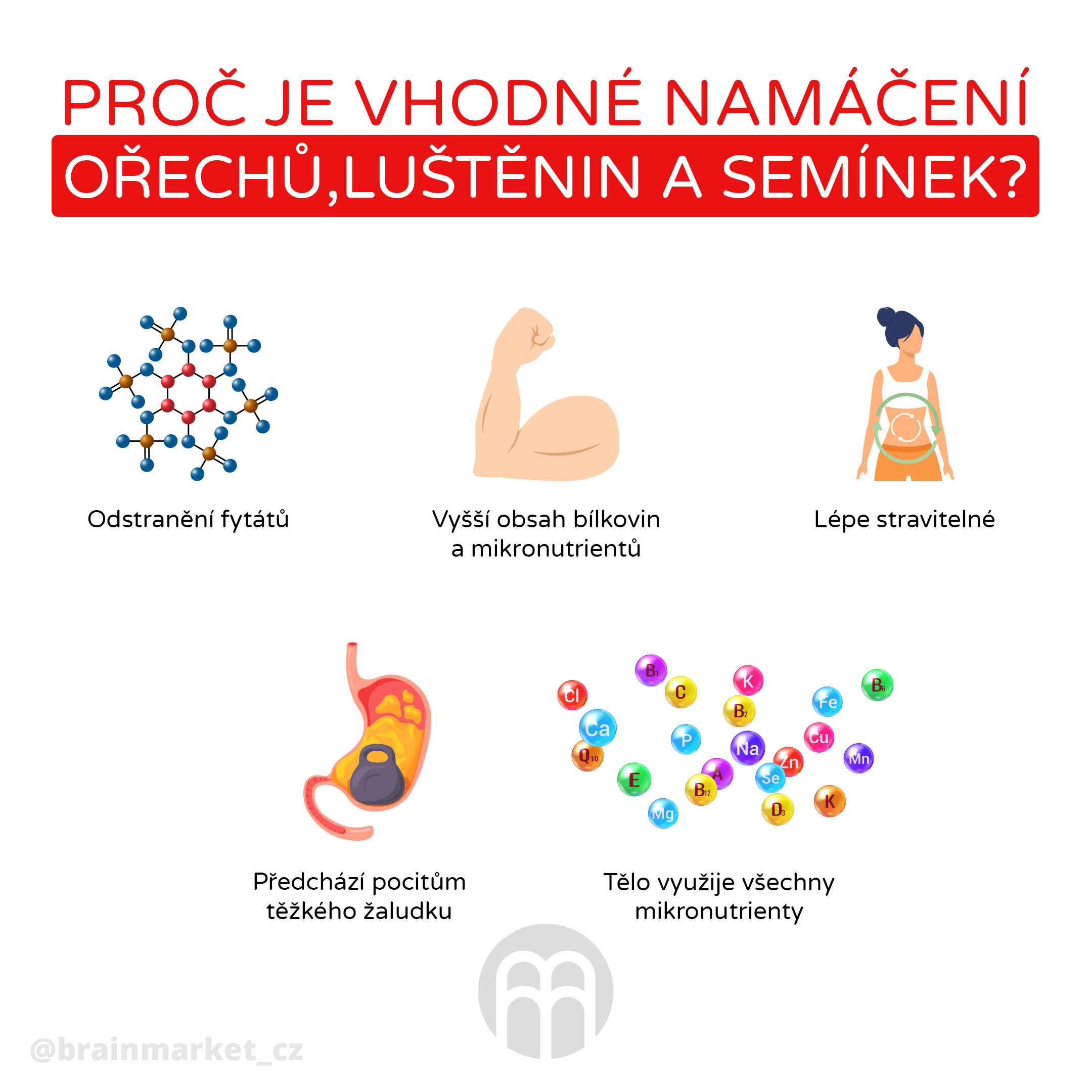 namaceni_orechu,_seminek_infografika_brainmarket_cz